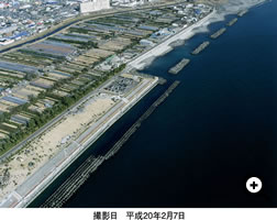 撮影日　平成20年2月7日