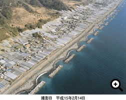 撮影日　平成15年2月14日