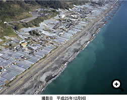 撮影日　平成25年12月9日